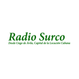 listen Radio Surco online