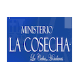 La Cosecha (La Ceiba)
