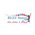 listen Buzz Stereo online